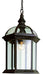 Trans Globe Imports - 4183 RT - One Light Hanging Lantern - Wentworth - Rust