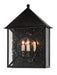 Currey and Company - 5500-0002 - Three Light Outdoor Wall Sconce - Ripley - Midnight