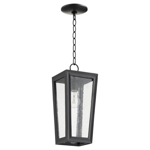 Quorum - 716-6-69 - One Light Pendant - Bravo - Noir