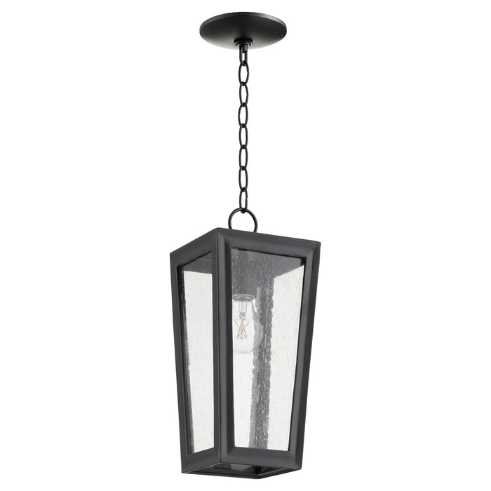 Quorum - 716-6-69 - One Light Pendant - Bravo - Noir