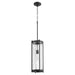 Quorum - 810-69 - One Light Pendant - Noir w/ Clear Chisseled Glass