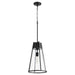 Quorum - 827-69 - One Light Pendant - Noir w/ Clear