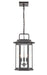 Millennium - 2687-PBZ - Three Light Outdoor Hanging Lantern - Ellis - Powder Coat Bronze
