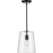 Progress Lighting - P500241-031 - One Light Pendant - Clarion - Black