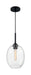Nuvo Lighting - 60-7026 - One Light Pendant - Aria - Matte Black