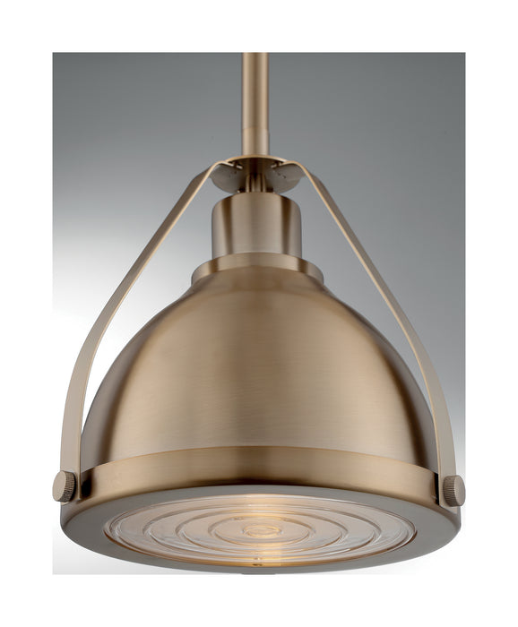 One Light Pendant from the Barbett collection in Burnished Brass finish