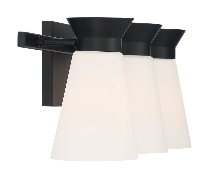Three Light Vanity from the Caleta collection in Black finish
