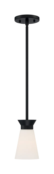 One Light Mini Pendant from the Caleta collection in Black finish