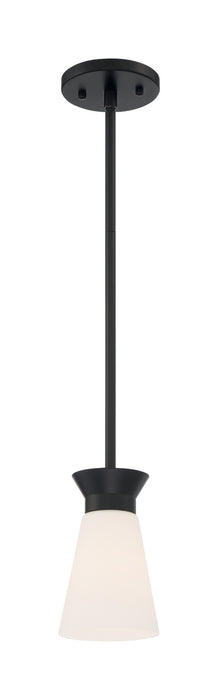One Light Mini Pendant from the Caleta collection in Black finish