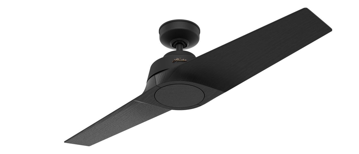 Hunter 52" Thaden Ceiling Fan with Handheld Remote