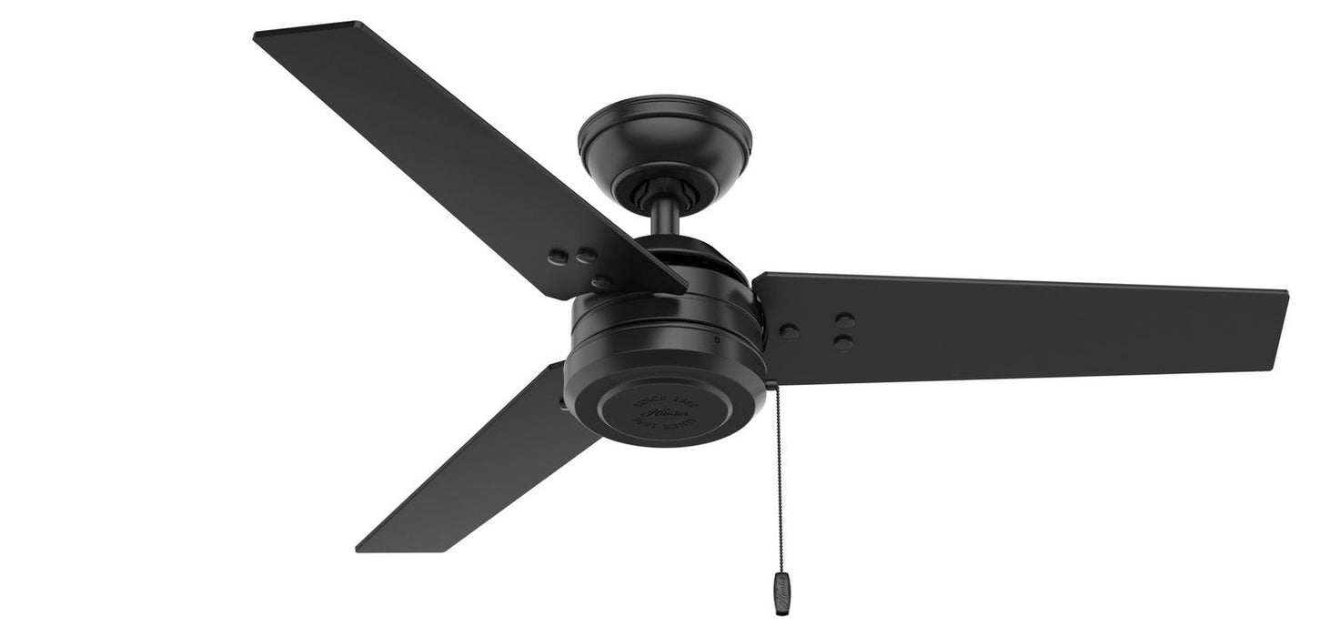 Hunter 44" Cassius Ceiling Fan with Pull Chains