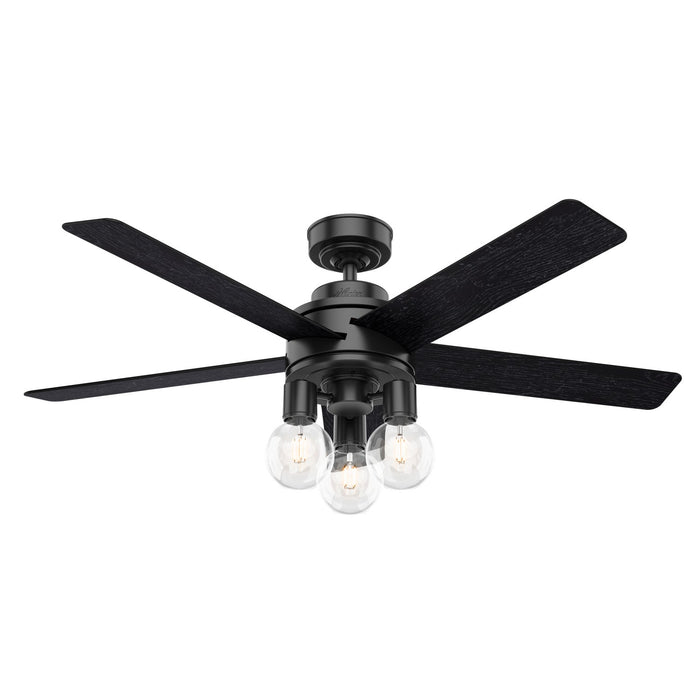 Hunter 52" Hardwick Ceiling Fan with LED Light Kit and Handheld Integrated Control System