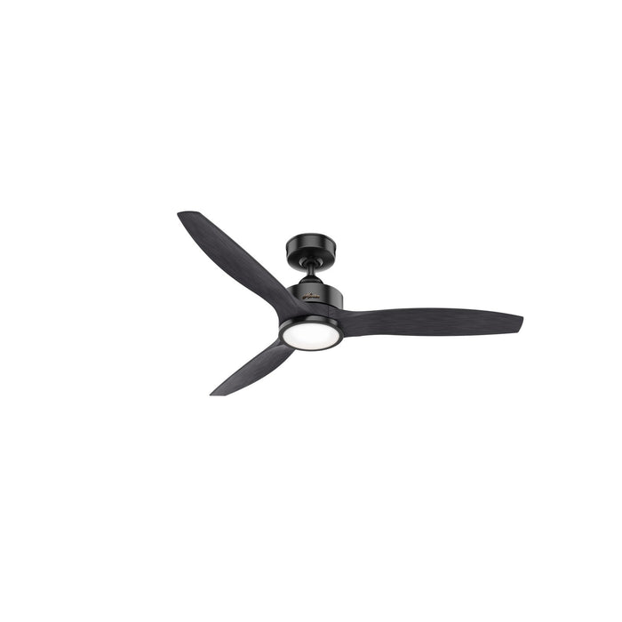 Hunter 52" Park View Ceiling Fan with LED Light Kit and Handheld Remote
