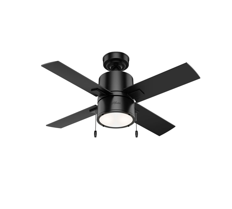 Hunter 42" Beck Ceiling Fan with LED Light Kit and Pull Chains