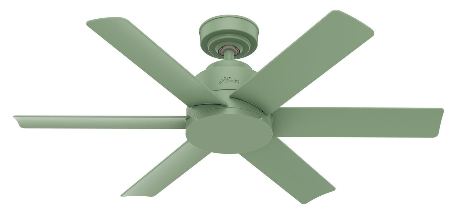 Hunter 44" Kennicott Ceiling Fan with Wall Control