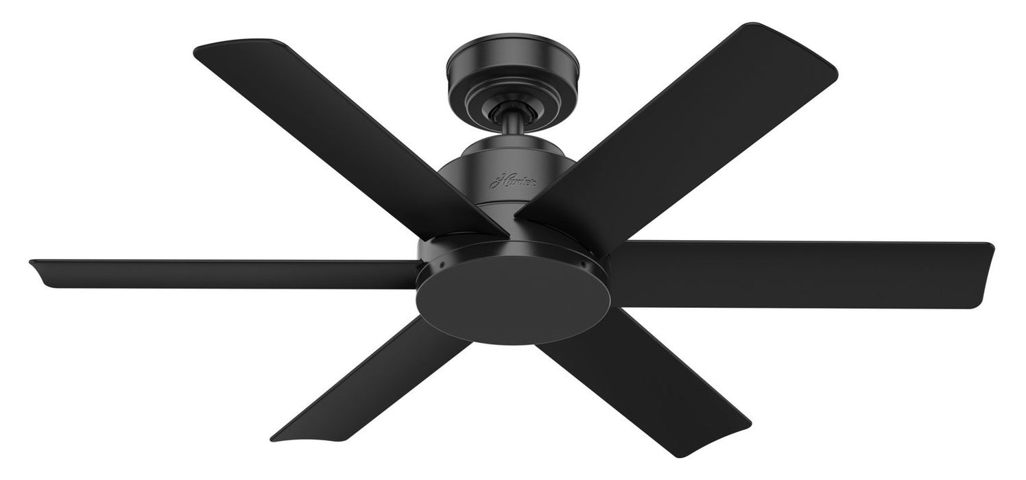 Hunter 44" Kennicott Ceiling Fan with Wall Control