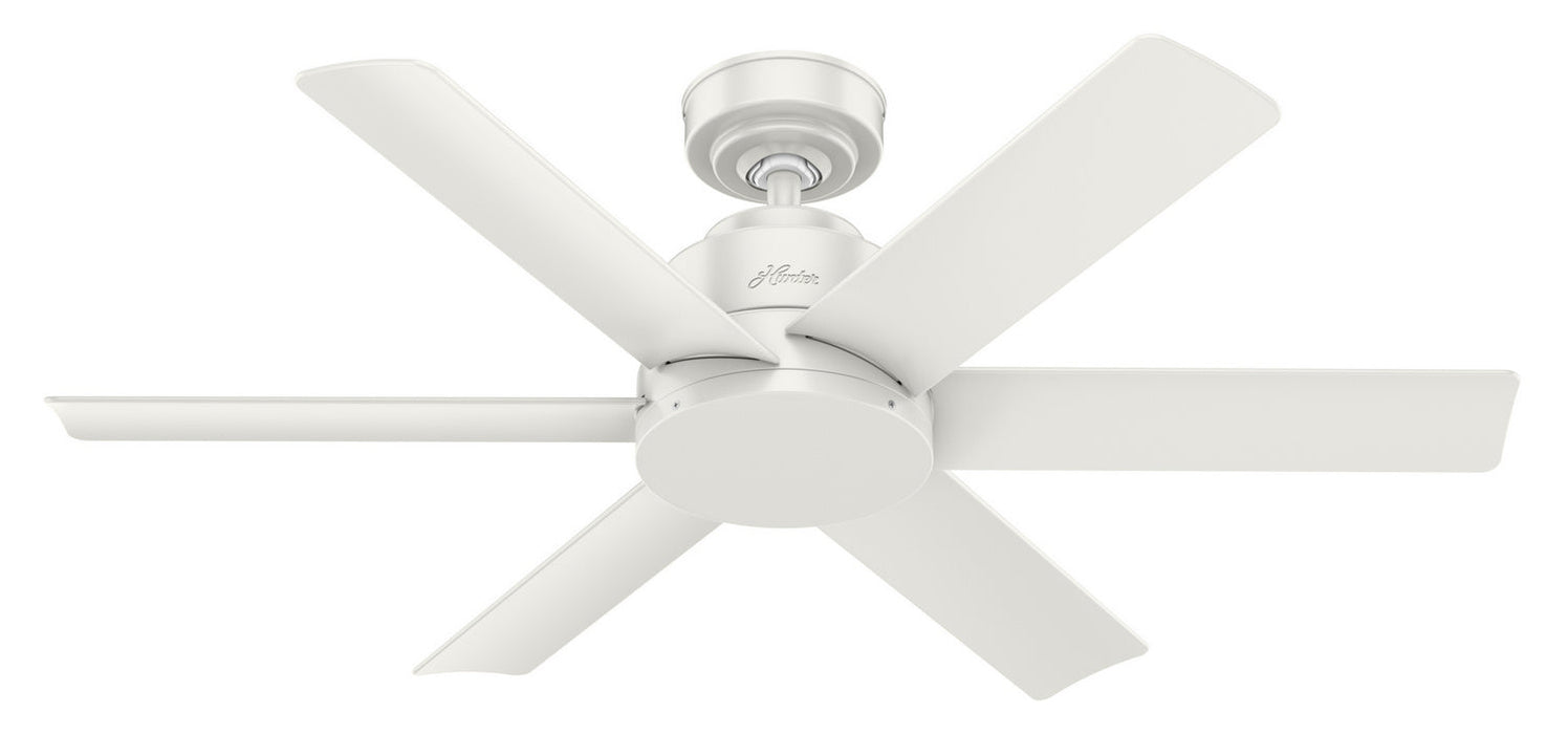 Hunter 44" Kennicott Ceiling Fan with Wall Control