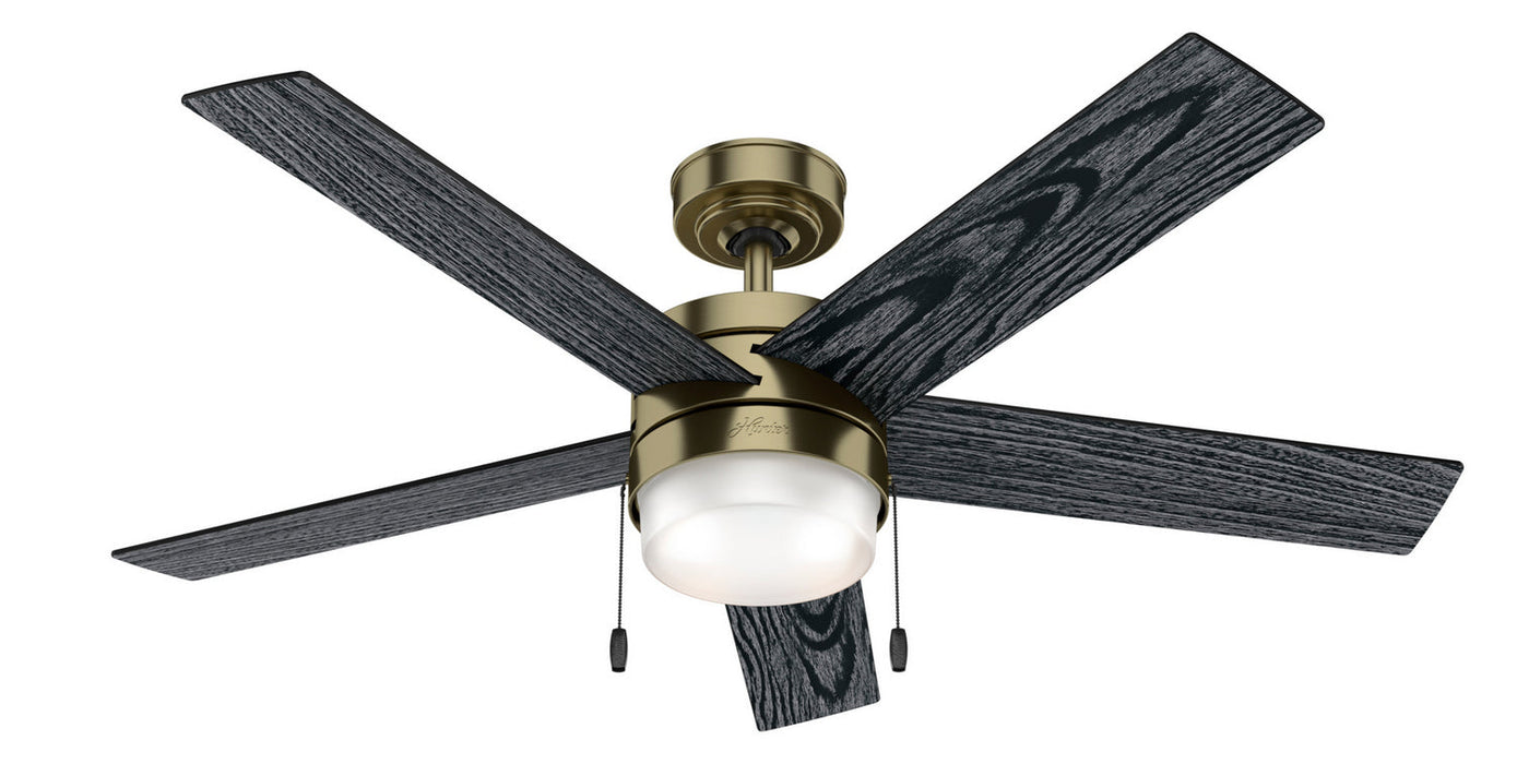 Hunter 52" Claudette Ceiling Fan with LED Light Kit and Pull Chains