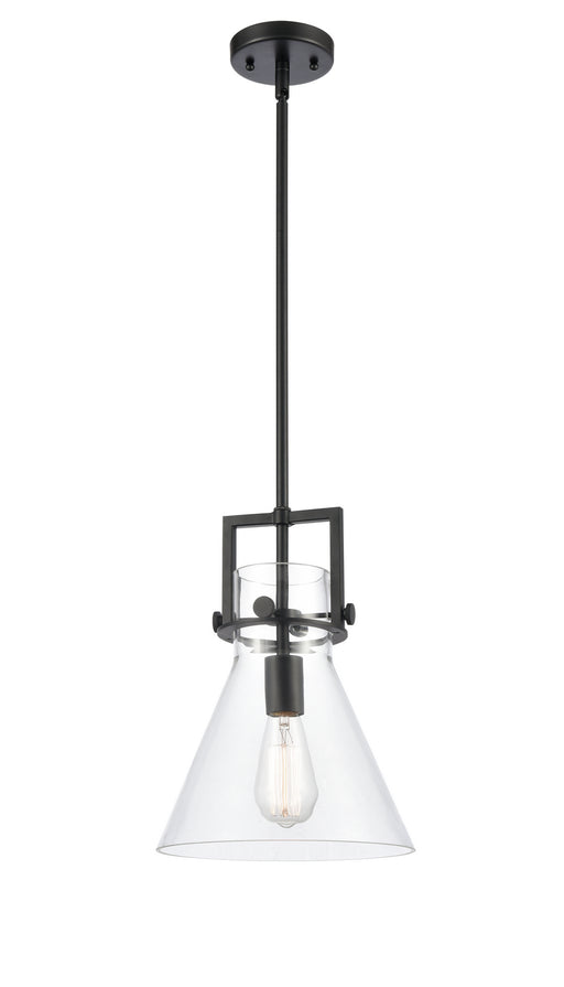 Innovations - 411-1S-BK-10CL - One Light Mini Pendant - Newton - Matte Black