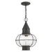 Livex Lighting - 26906-61 - One Light Outdoor Pendant - Newburyport - Charcoal