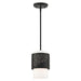 Livex Lighting - 46259-04 - One Light Pendant - Noria - Black