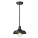 Acclaim Lighting - 1736BK - One Light Convertible Pendant - Burry - Matte Black