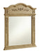 Elegant Lighting - VM3001AB - Mirror - Danville - Antique Beige