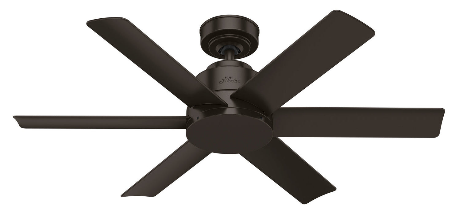 Hunter 44" Kennicott Ceiling Fan with Wall Control