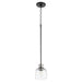 Quorum - 310-6965 - One Light Pendant - Monarch - Noir w/ Satin Nickel