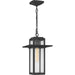 Quoizel - RDL1909MB - One Light Outdoor Hanging Lantern - Randall - Mottled Black