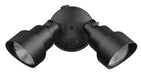 Acclaim Lighting - LFL2BK - Exterior - Spot Lights