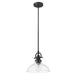 Acclaim Lighting - IN21147BK - One Light Pendant - Virginia - Matte Black