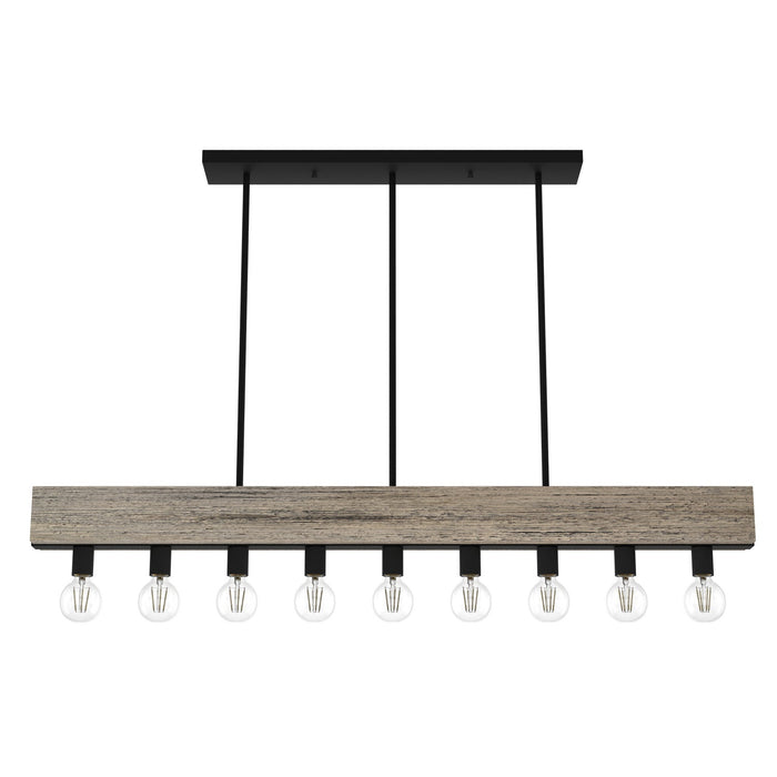 Hunter Donelson Nine Light Linear Chandelier