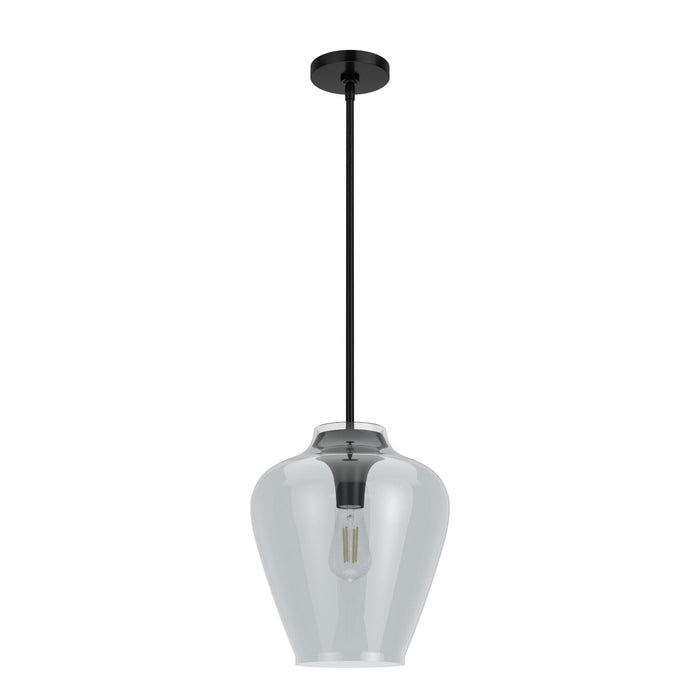 Hunter Vidria One Light Pendant