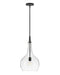 Hinkley - 4457BK-CL - One Light Pendant - Ziggy - Black with Clear glass