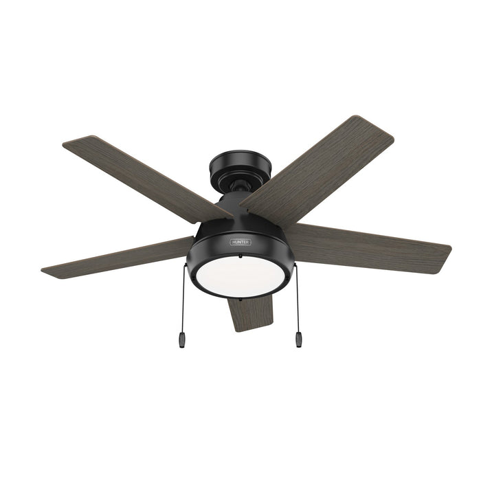 Hunter 44" Burroughs Ceiling Fan with LED Light Kit and Pull Chains