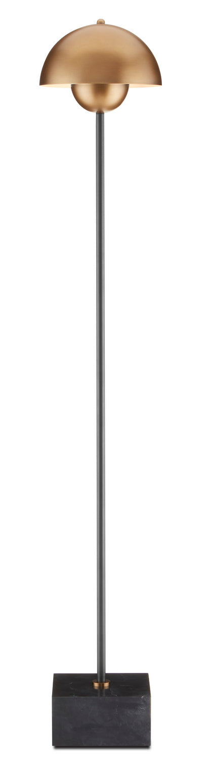 Currey and Company - 8000-0095 - One Light Floor Lamp - Brushed Brass/Black