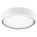 Quorum - 8-306-8 - LED Fan Light Kit - Lurus - Studio White