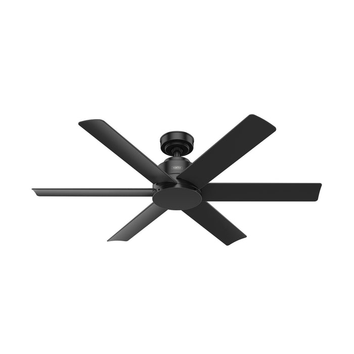 Hunter 52" Kennicott Ceiling Fan with Wall Control