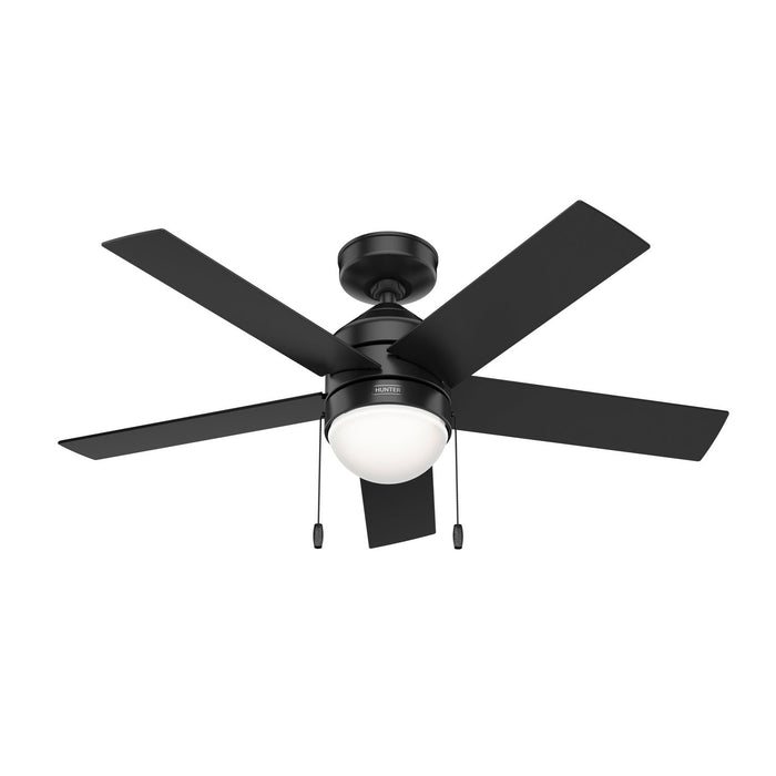 Hunter 44" Rogers Ceiling Fan with LED Light Kit and Pull Chains