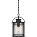 Quoizel - BKR1510K - One Light Mini Pendant - Booker - Mystic Black