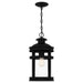 Quoizel - SCO1909MBK - One Light Outdoor Hanging Lantern - Scout - Matte Black