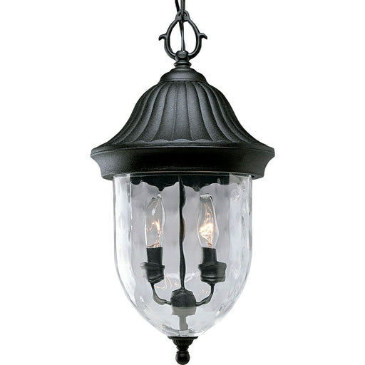 Progress Lighting - P5529-31 - Two Light Hanging Lantern - Coventry - Textured Black
