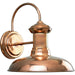Progress Lighting - P5722-14 - One Light Wall Lantern - Brookside - Cognac