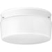 Progress Lighting - P3520-30 - Two Light Close-to-Ceiling - White Glass - White