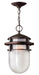 Hinkley - 1952VZ - One Light Hanging Lantern - Reef - Victorian Bronze