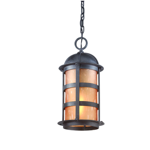 Troy Lighting - F9255NB - One Light Hanging Lantern - Aspen - Natural Bronze