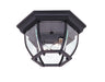 Artcraft - AC8096BK - Two Light Outdoor Ceiling Mount - Classico - Black