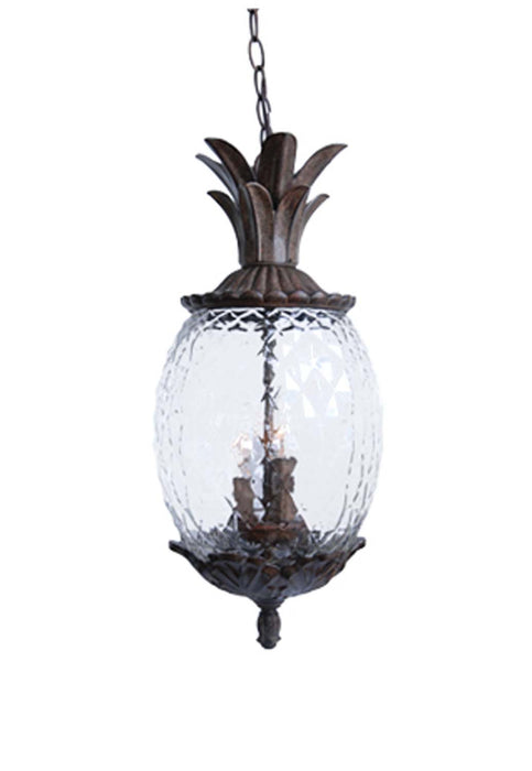 Acclaim Lighting - 7516BC - Three Light Outdoor Hanging Lantern - Lanai - Black Coral
