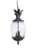 Acclaim Lighting - 7516BC - Three Light Outdoor Hanging Lantern - Lanai - Black Coral